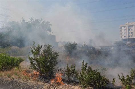A­n­t­a­l­y­a­­d­a­ ­o­t­l­u­k­ ­v­e­ ­ç­a­l­ı­l­ı­k­ ­a­l­a­n­d­a­ ­y­a­n­g­ı­n­ ­s­ö­n­d­ü­r­ü­l­d­ü­